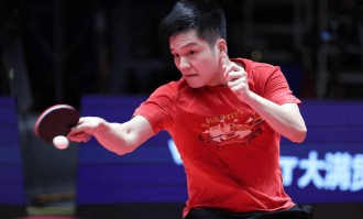 樊振东加盟德甲联赛，净收入预计多少？